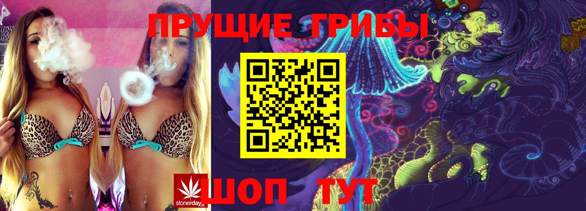 Галлюциногенные грибы Magic Shrooms Пенза