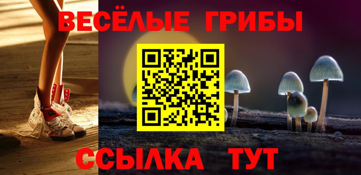 Галлюциногенные грибы мицелий  как найти закладки  Пенза  Вход с VPN 